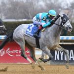 My World Scores Another Aqueduct Win in Jerome Stakes